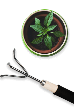 potted plant and gardening tool 1