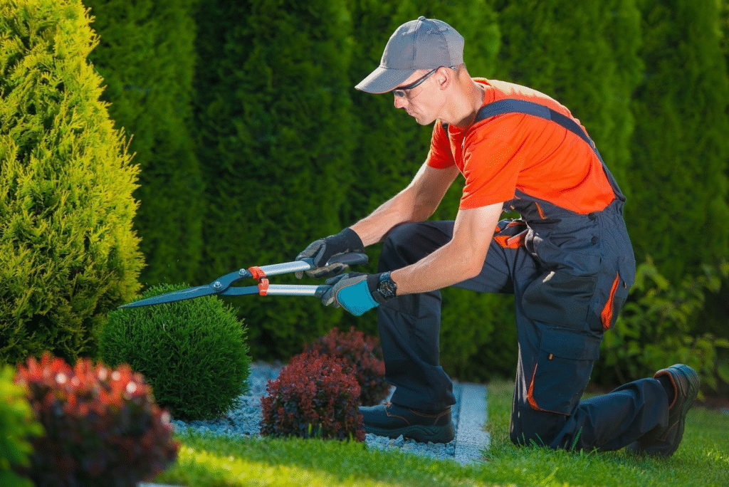 garden maintenance service